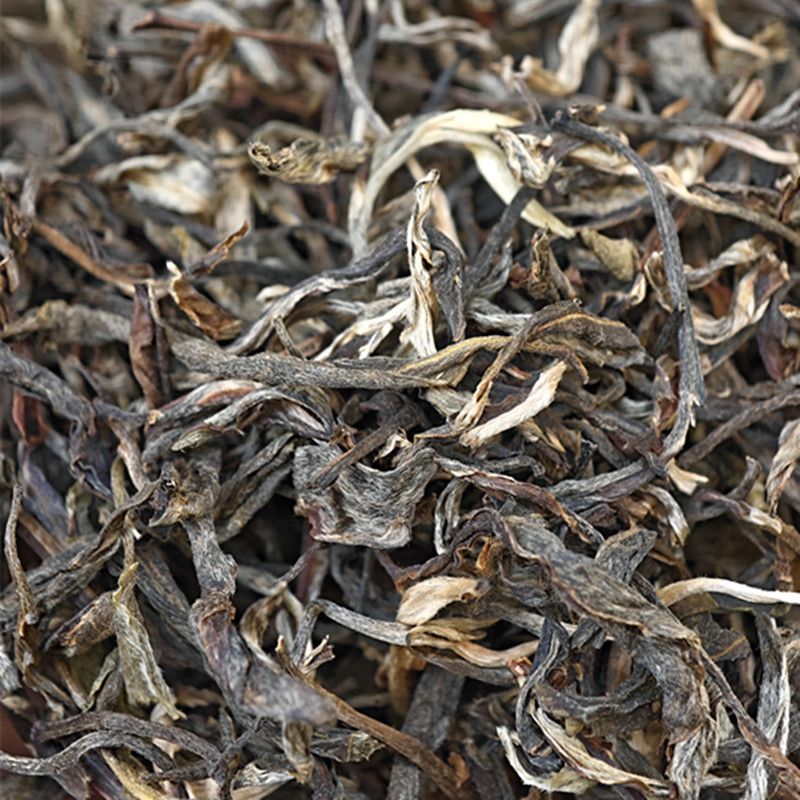 2025年昔归头春头采晒青茶试喝正装云南普洱茶叶普洱茶散茶临沧茶