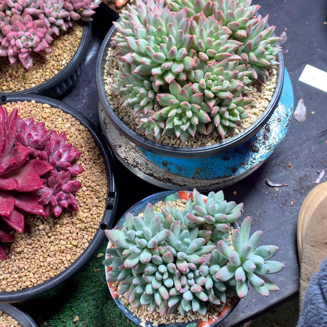 Z****哈哈哈哈哈哈哈哈哈哈哈哈