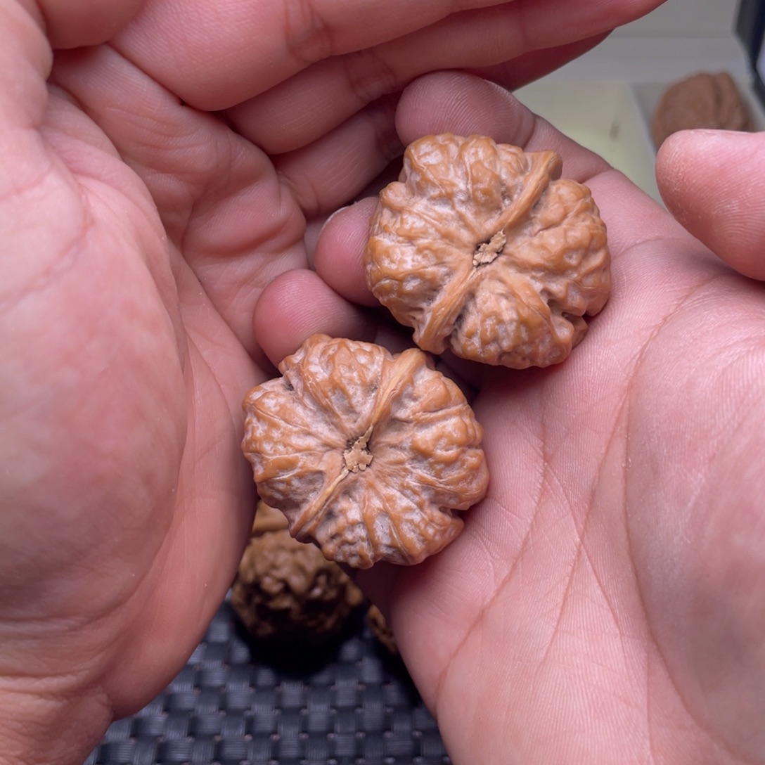 文玩核桃把件37延庆蛤蟆头