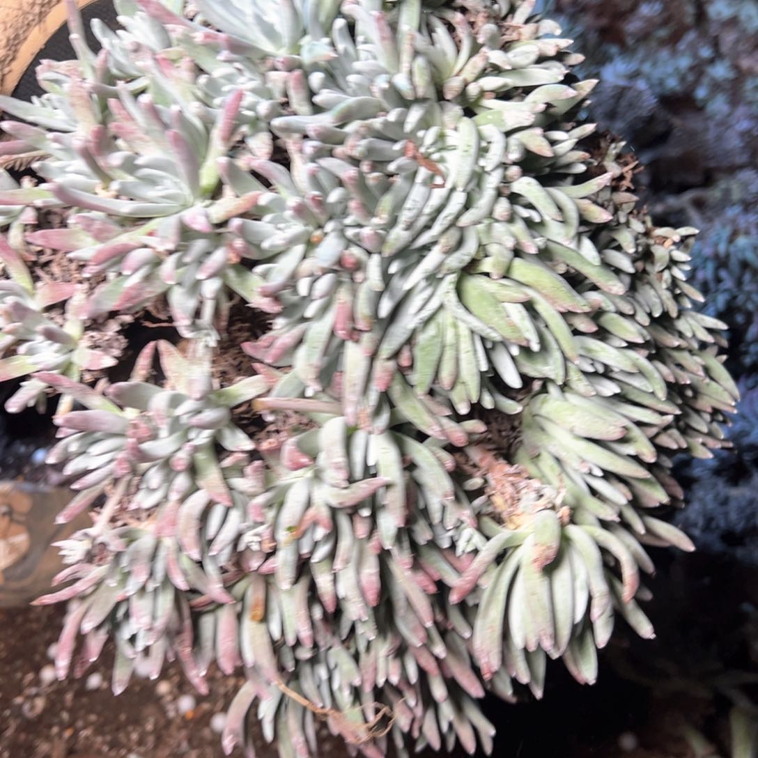 6093哈哈哈哈哈哈哈哈