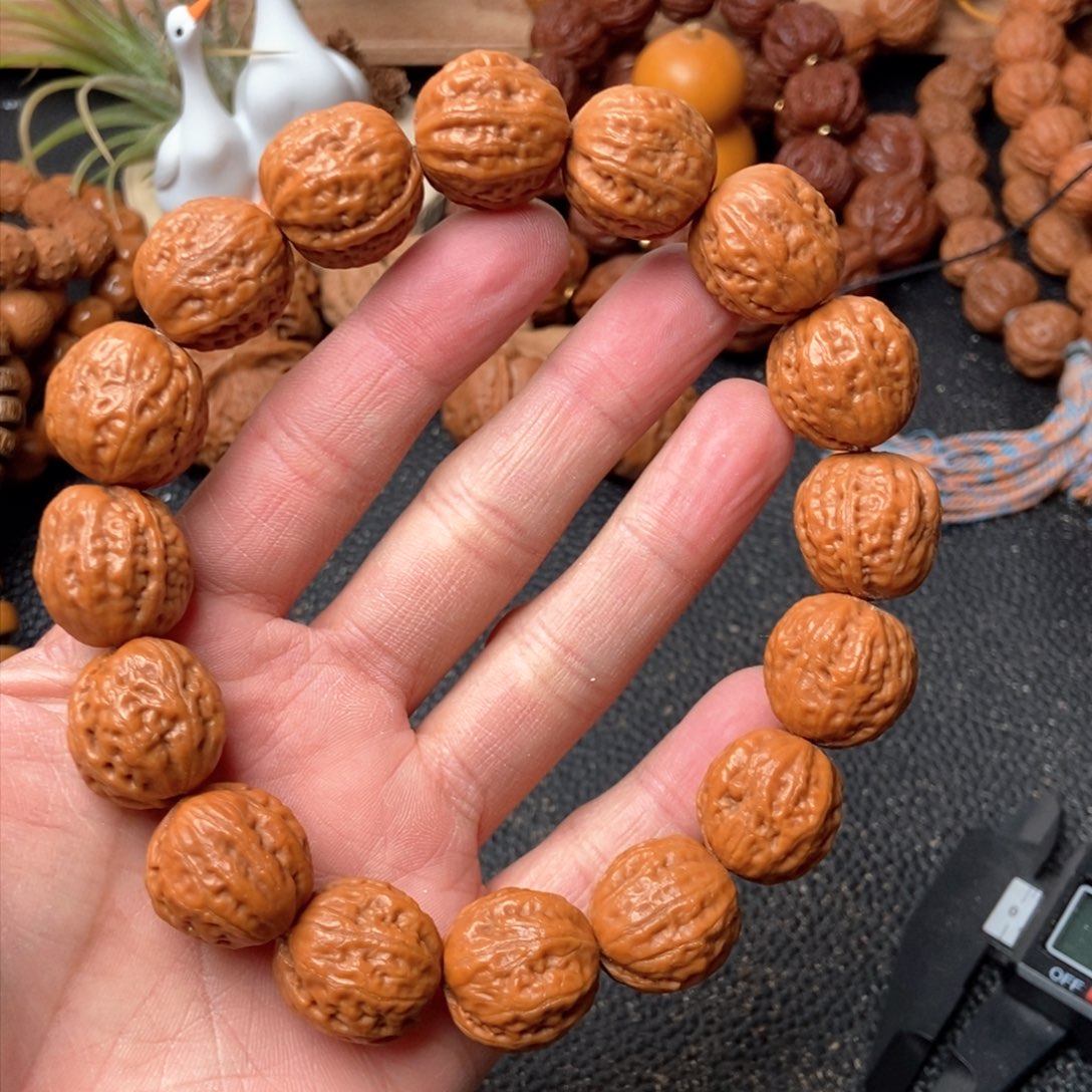 野生小秋子核桃京八楞小方墩三围18