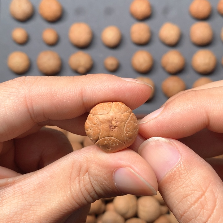 凤眼菩提吊坠尧*灵19mm尼泊尔大眼五星