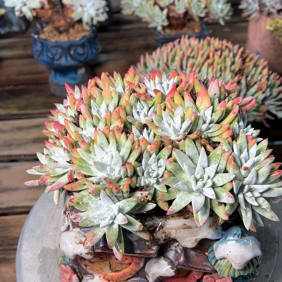 5337哈哈哈哈哈哈哈哈哈