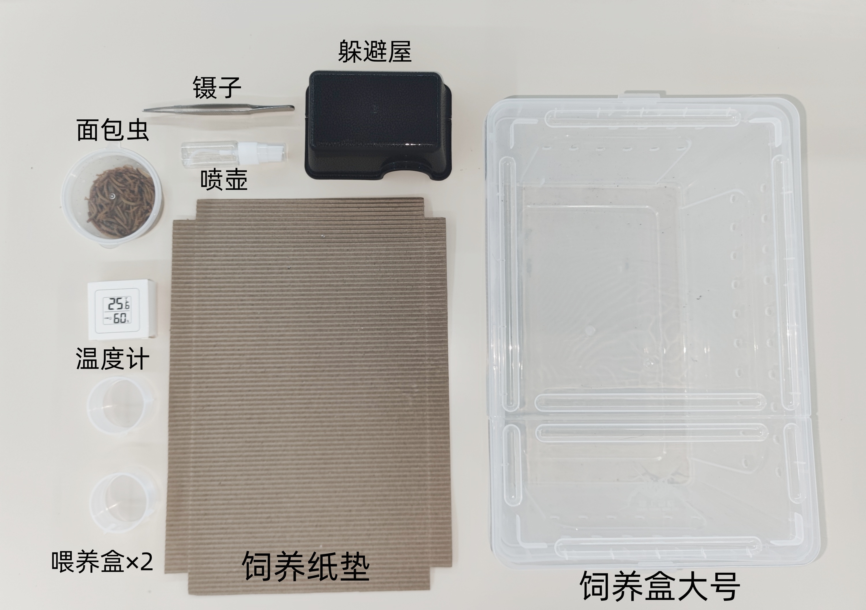 守宫爬宠专用饲养必备套装 饲养盒喂养盒
