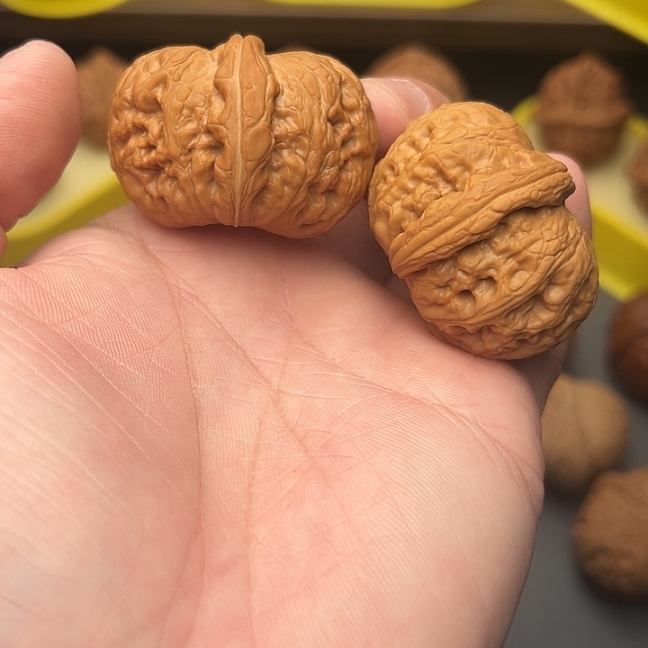 43尺矮桩满肉元宝