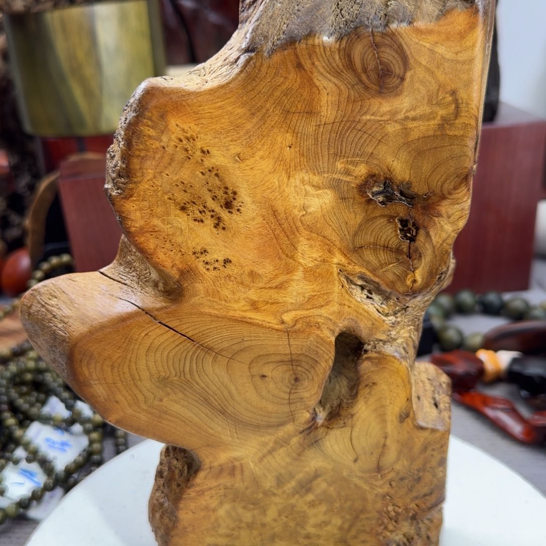 大果紫檀（缅甸花梨）?****