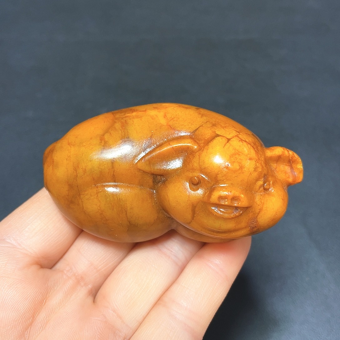 官方链接下单放心拍