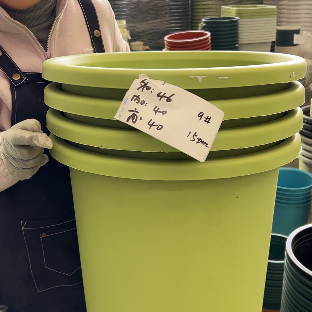 四季盆9#果绿色4个无托