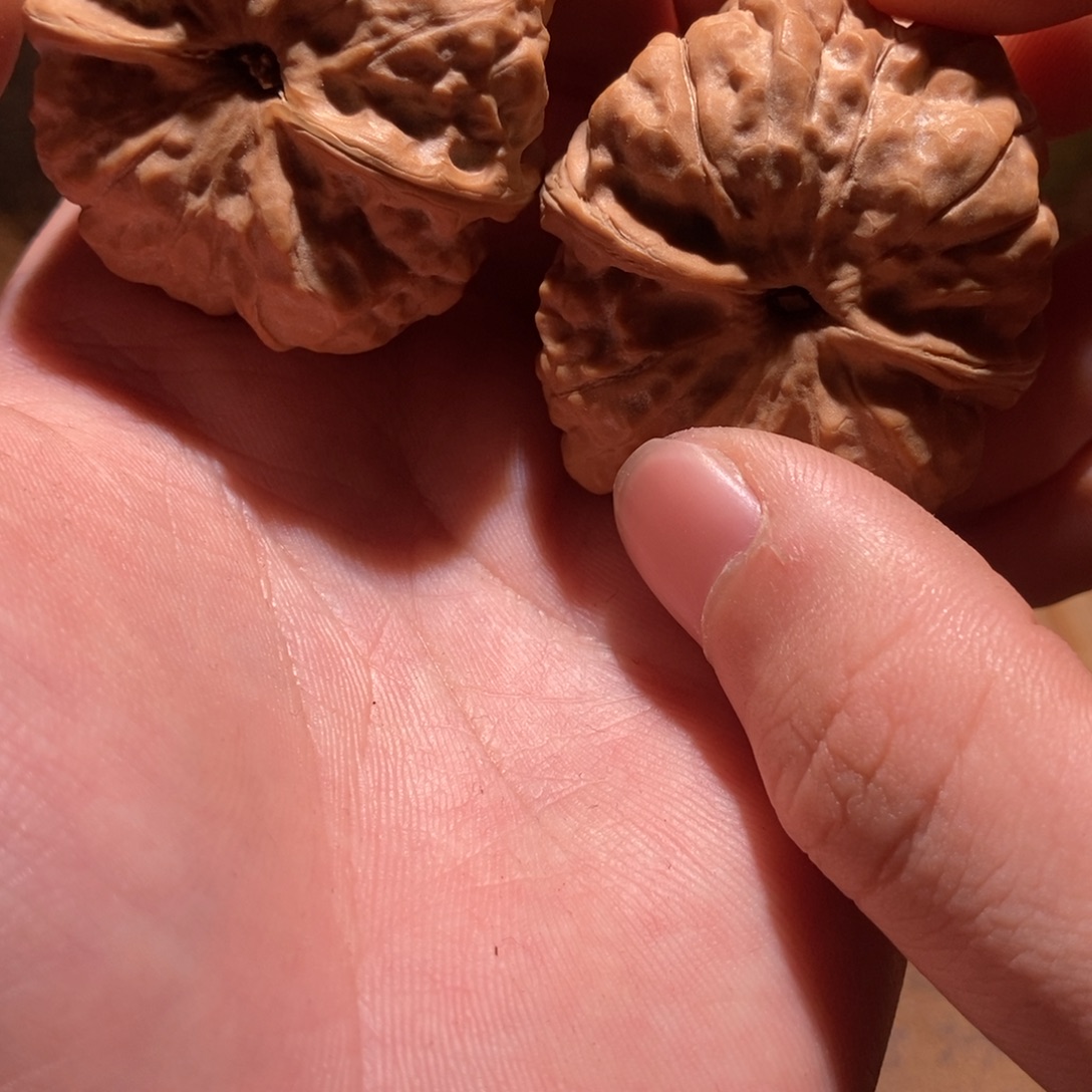 平***樂文玩核桃吊坠蛤蟆头D50