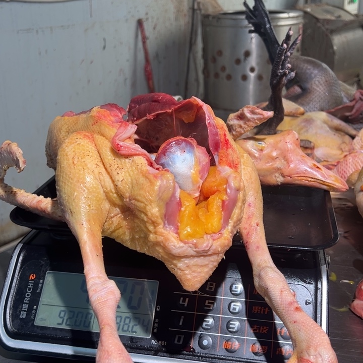 鹅食用农产品已*置