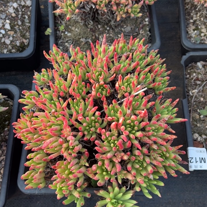 551哈哈哈哈哈哈哈哈哈哈