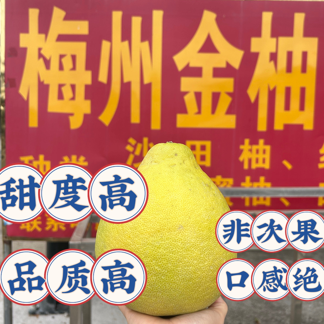 【精品中果30斤】高品质广东梅州松口镇纯甜沙田柚送礼金柚子老树