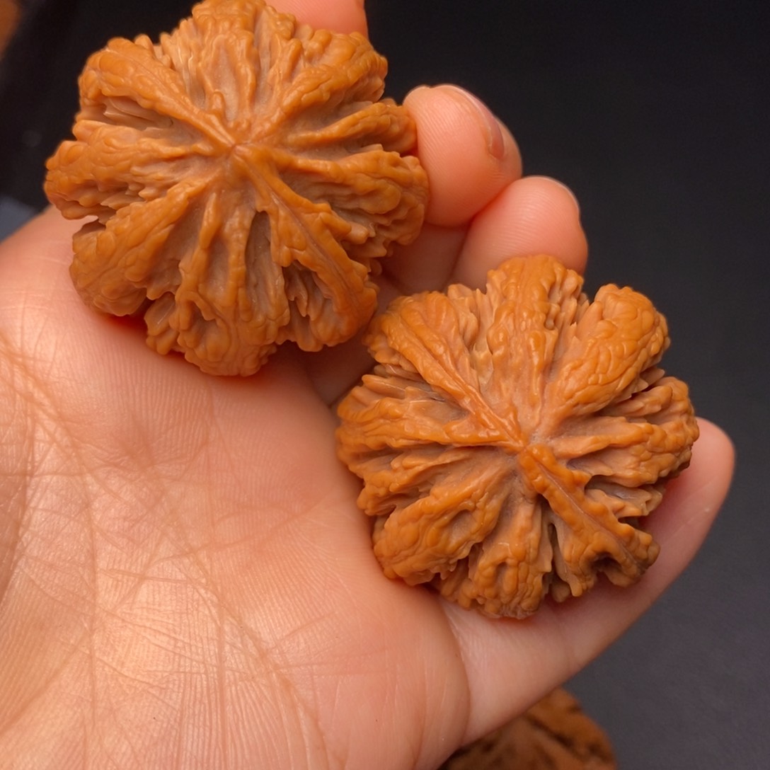 秦岭野生文玩核桃