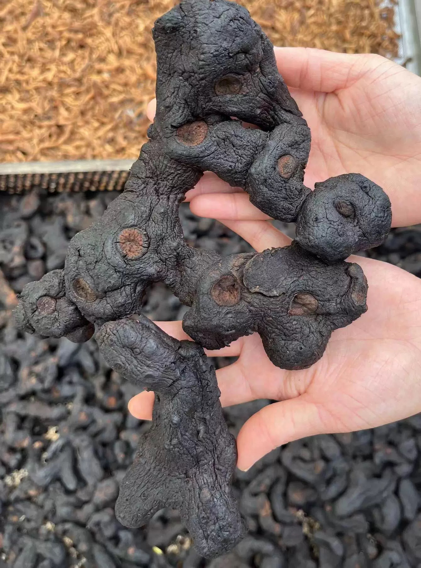 云南边境山货～H～J～卤蛋山货