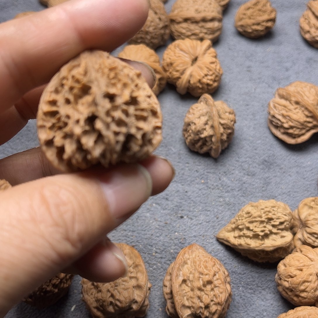 文玩核桃手串?****姜刺龙