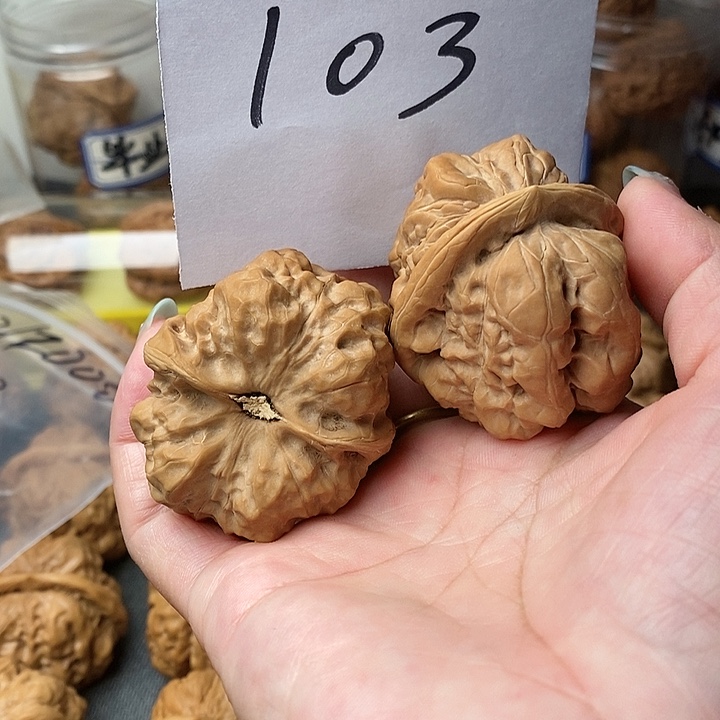 纯***零核桃蛤蟆洞等景名胜区内最