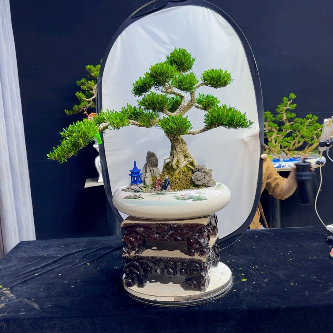 高端盆景艺术作品