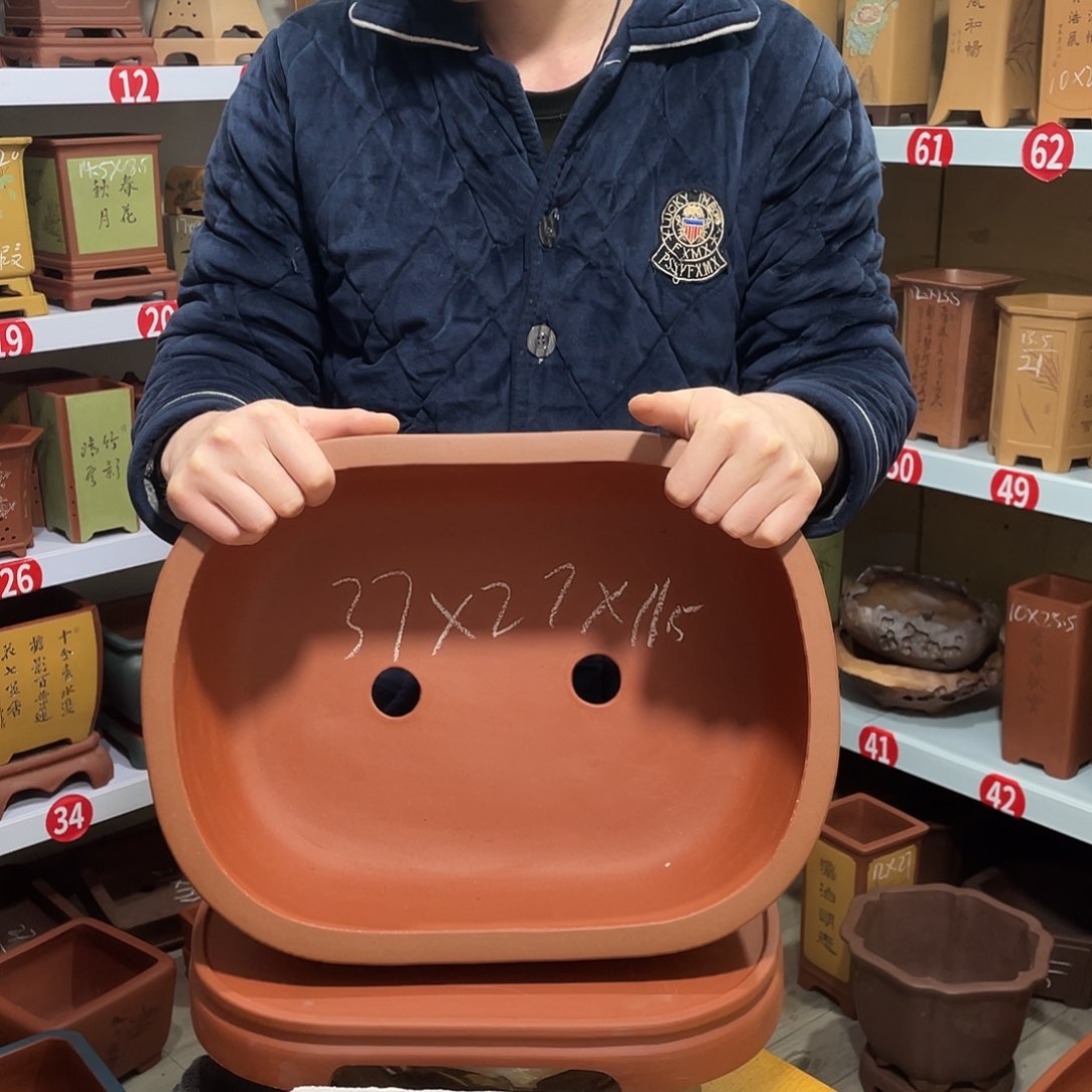 紫砂菊*h天心紫砂手工花盆