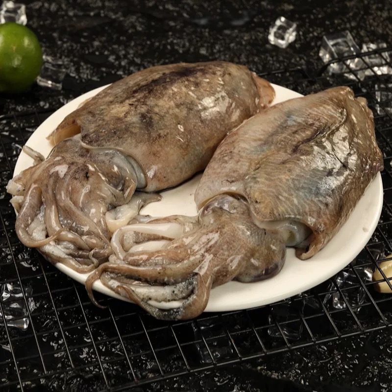 【超大号4条以内/4斤】渤海湾墨鱼墨斗鱼4斤装保鲜不保活 