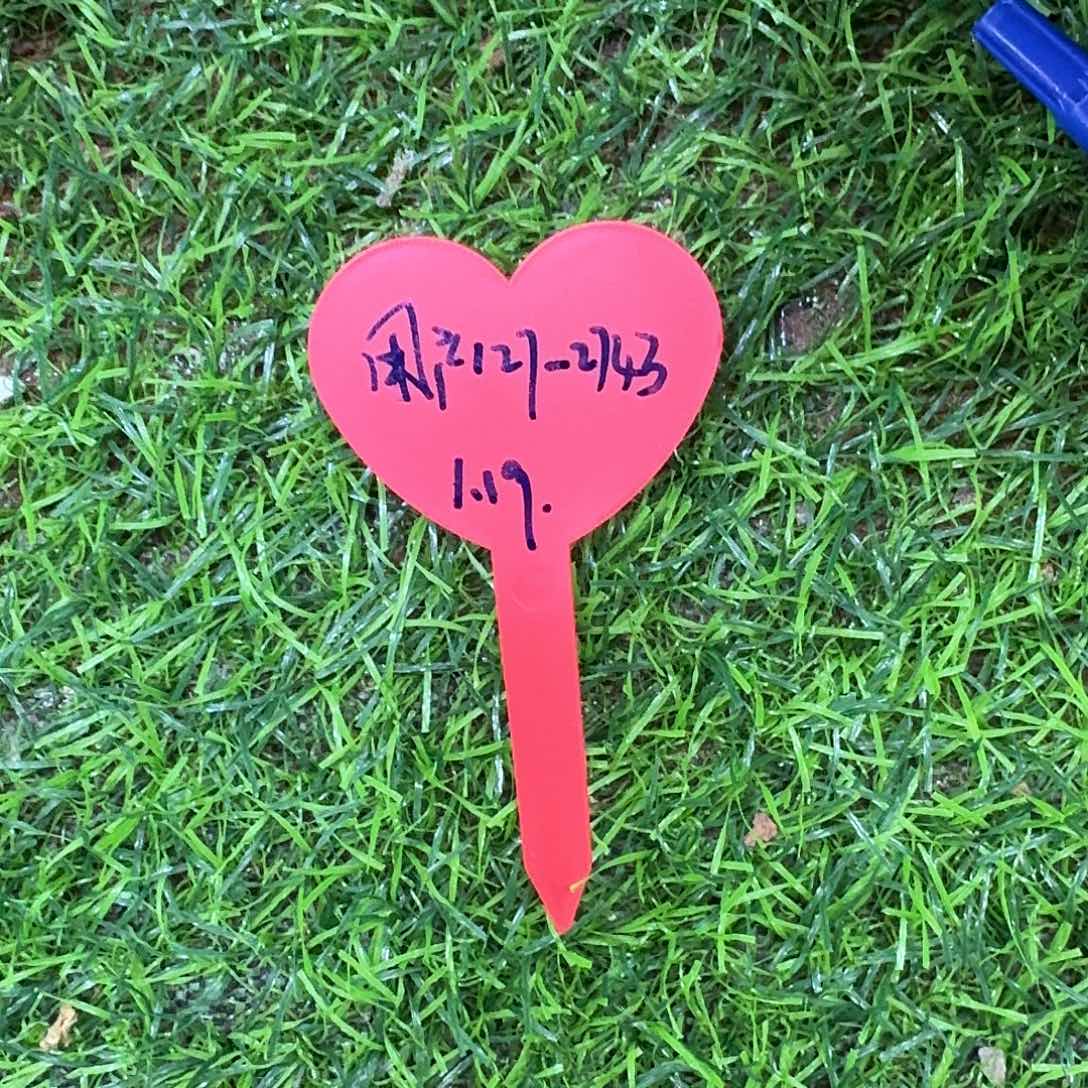 用****3用户127预定TTN