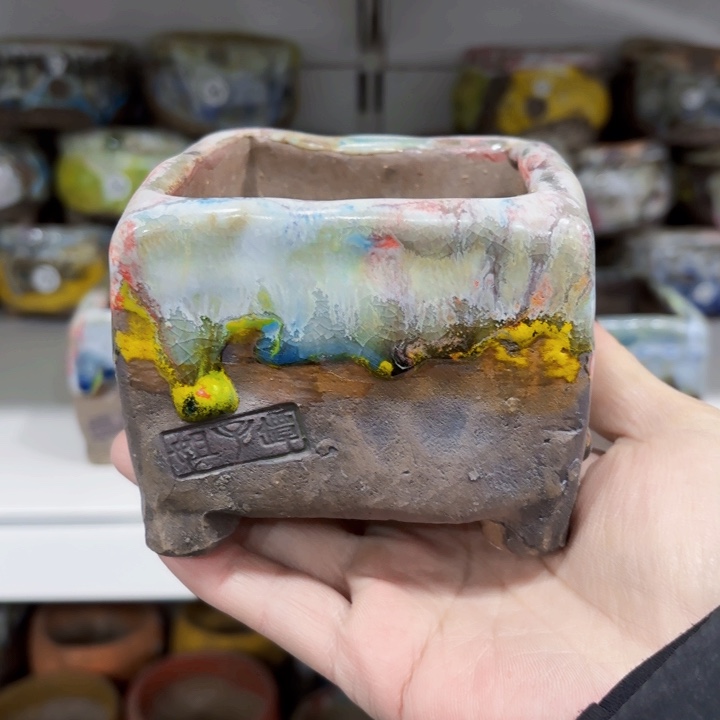 红陶朵*内敛的人是不可能的