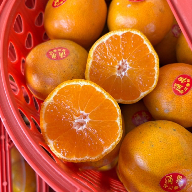 【福利款】涌泉蜜橘酸甜多汁新鲜橘子浙江省
