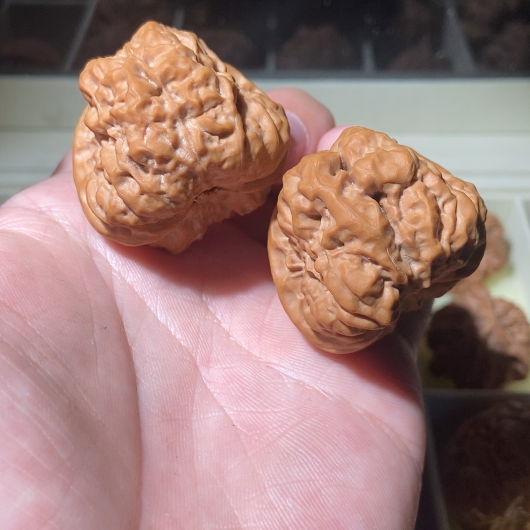 文玩核桃把件40蛤蟆