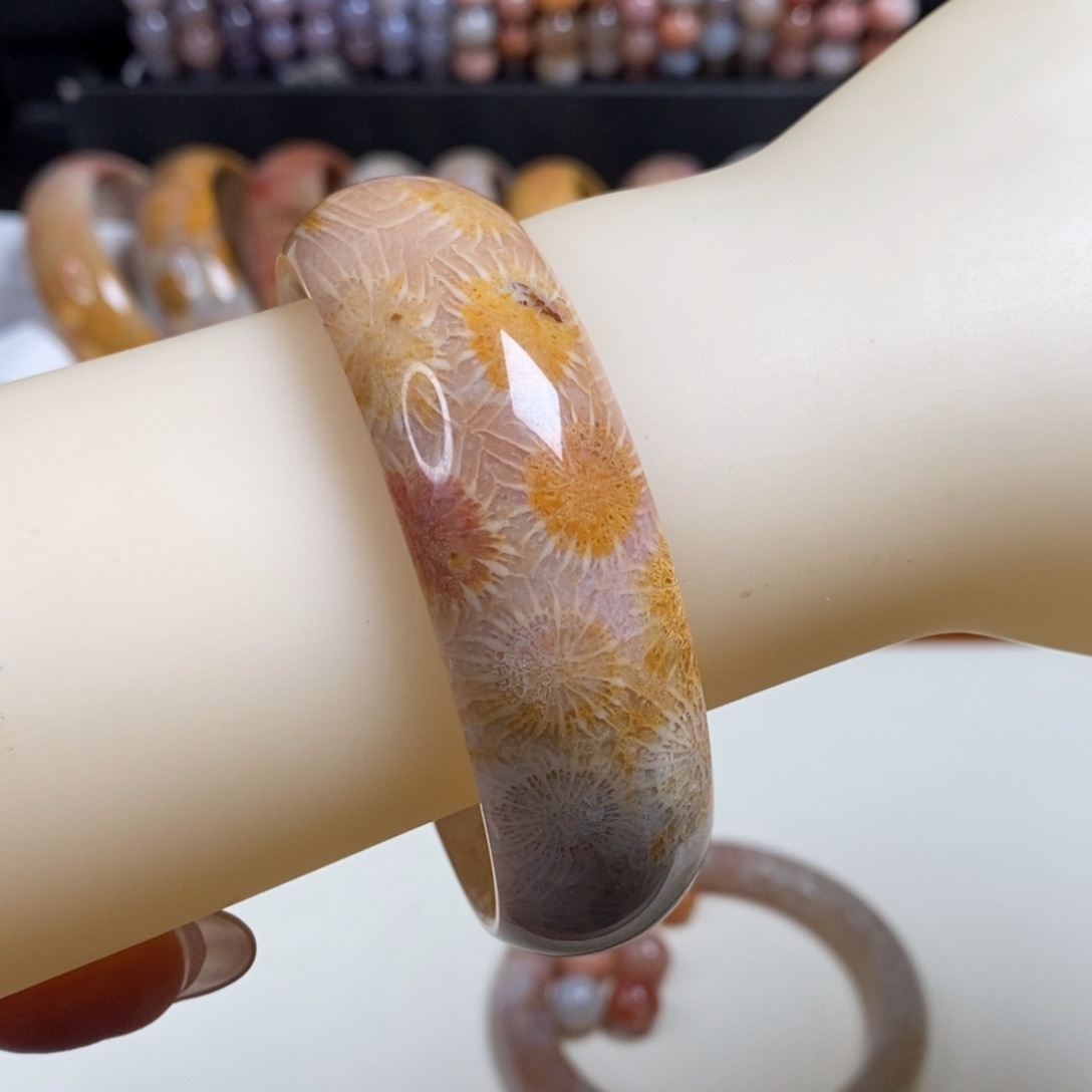 聂***）硅化玉手镯未镶嵌