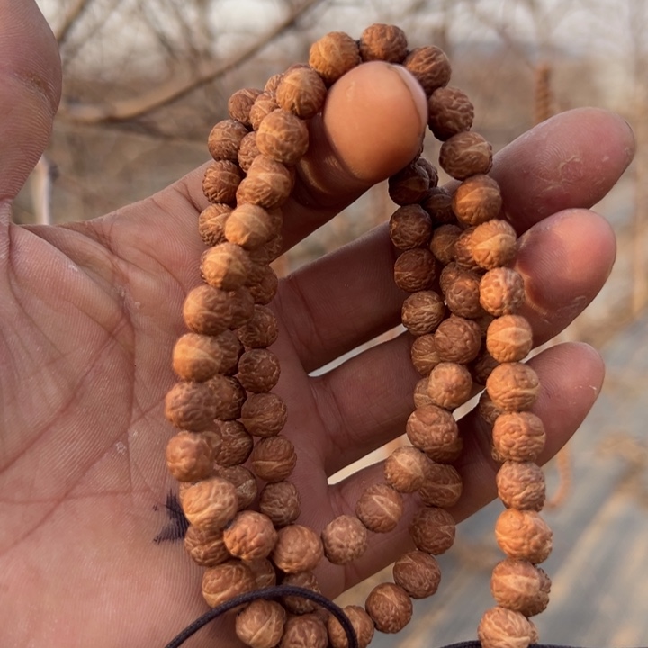 凤眼菩提吊坠文玩酸枣核