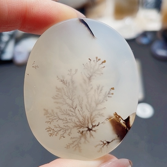 未镶嵌玛瑙/玉髓珠宝奇石