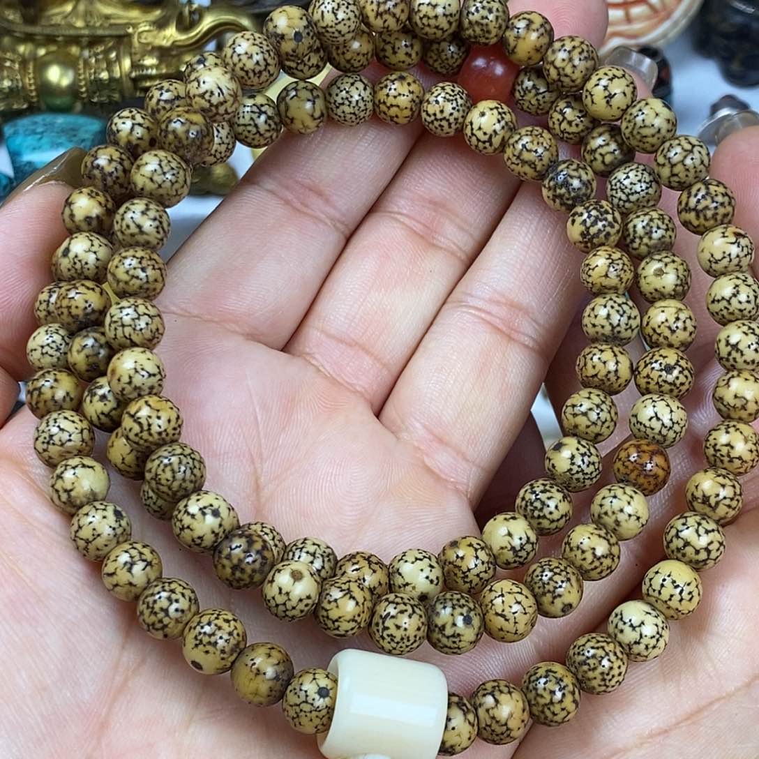 贝壳手串/手链…………………………………………