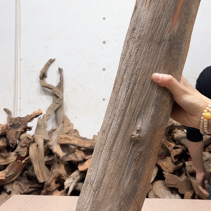 柏木天*我们的生活也是如此吧