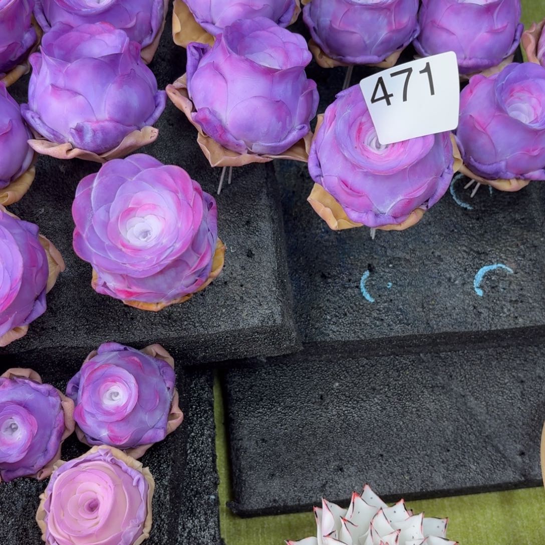 树脂471号哦哦哦哦哦哦哦