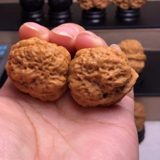 文玩核桃把件鸭嘴兽疙瘩包4