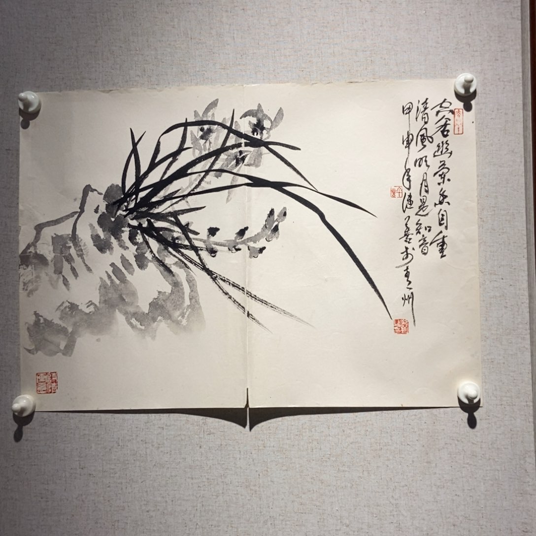 【闪购商品】国画用****3墨鱼精品墨鱼精品