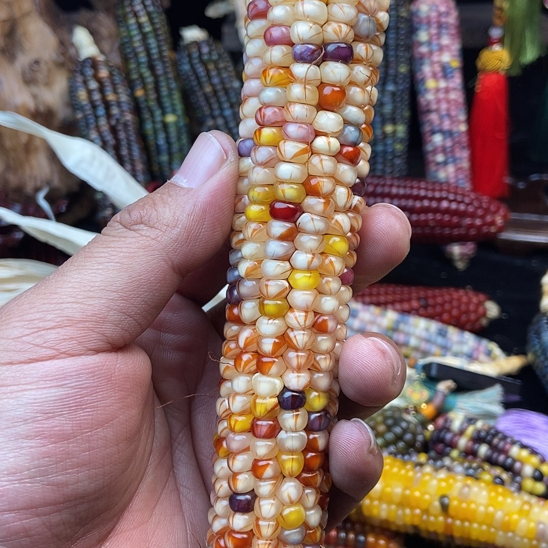 玉米文玩玉米直播间一物一拍