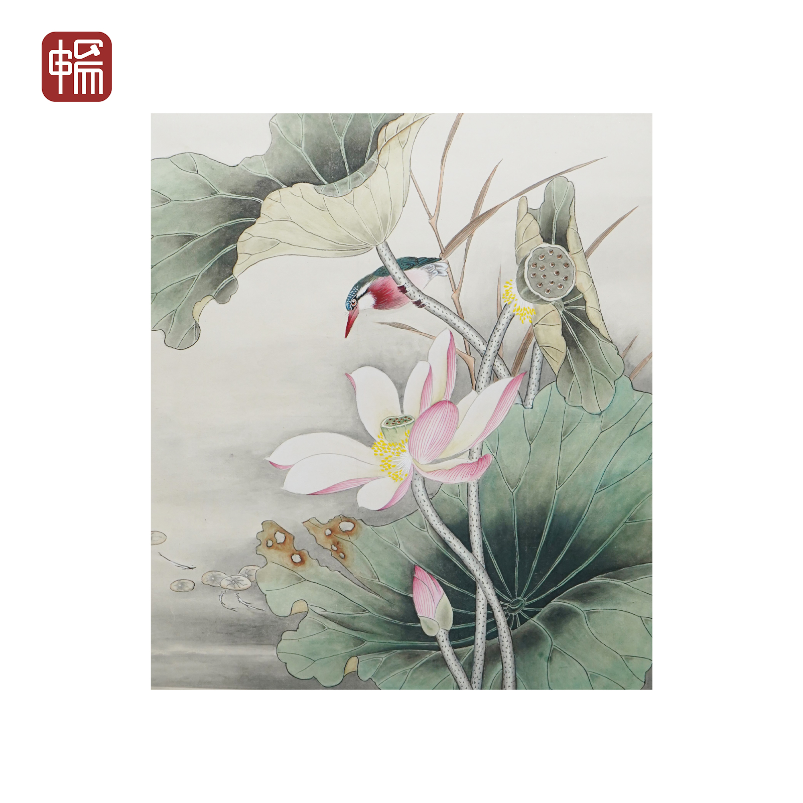 JZ151 当代《荷花图》 50*56（2.52平尺） 纸本镜片 FL 