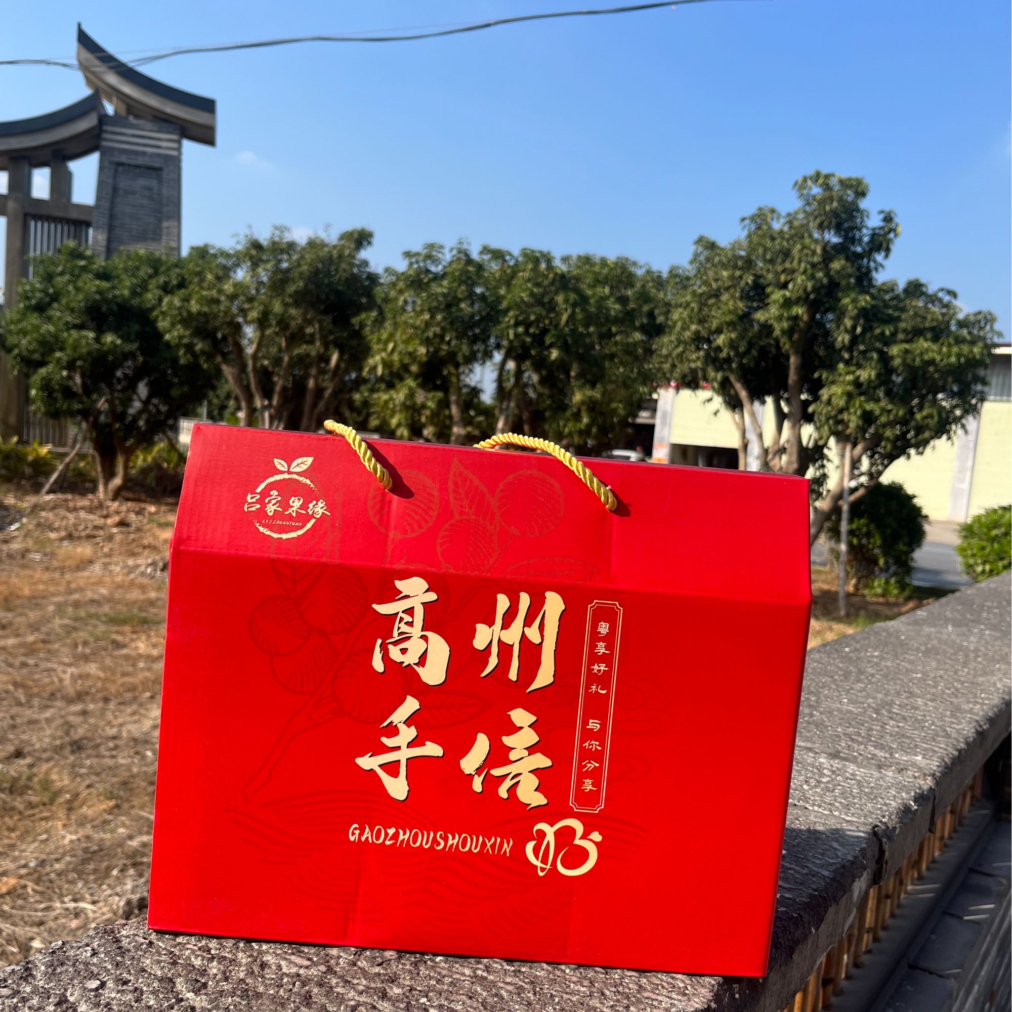 【年货节】高州手信高州三宝桂圆干 桂味荔枝干 桂圆肉大礼包送礼