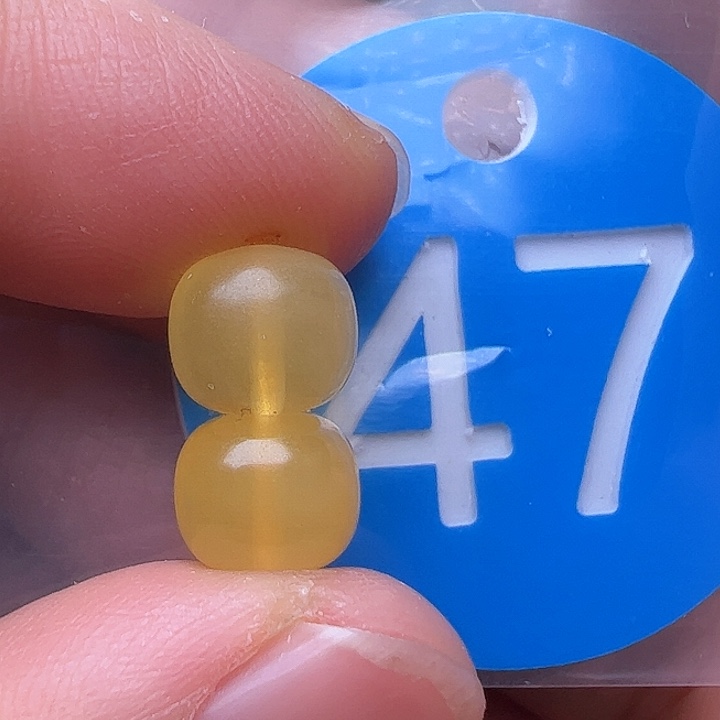 蜜蜡裸石未镶嵌金沙8m m