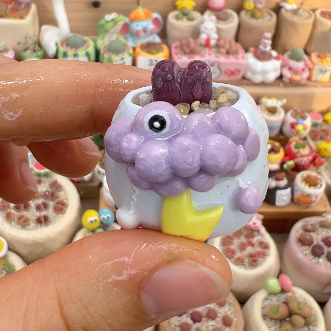 多肉植物34号拇指盆