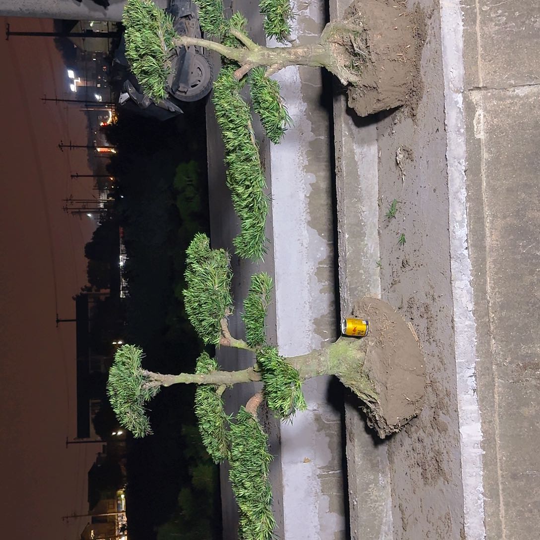 周***生完全开放4582595555555555