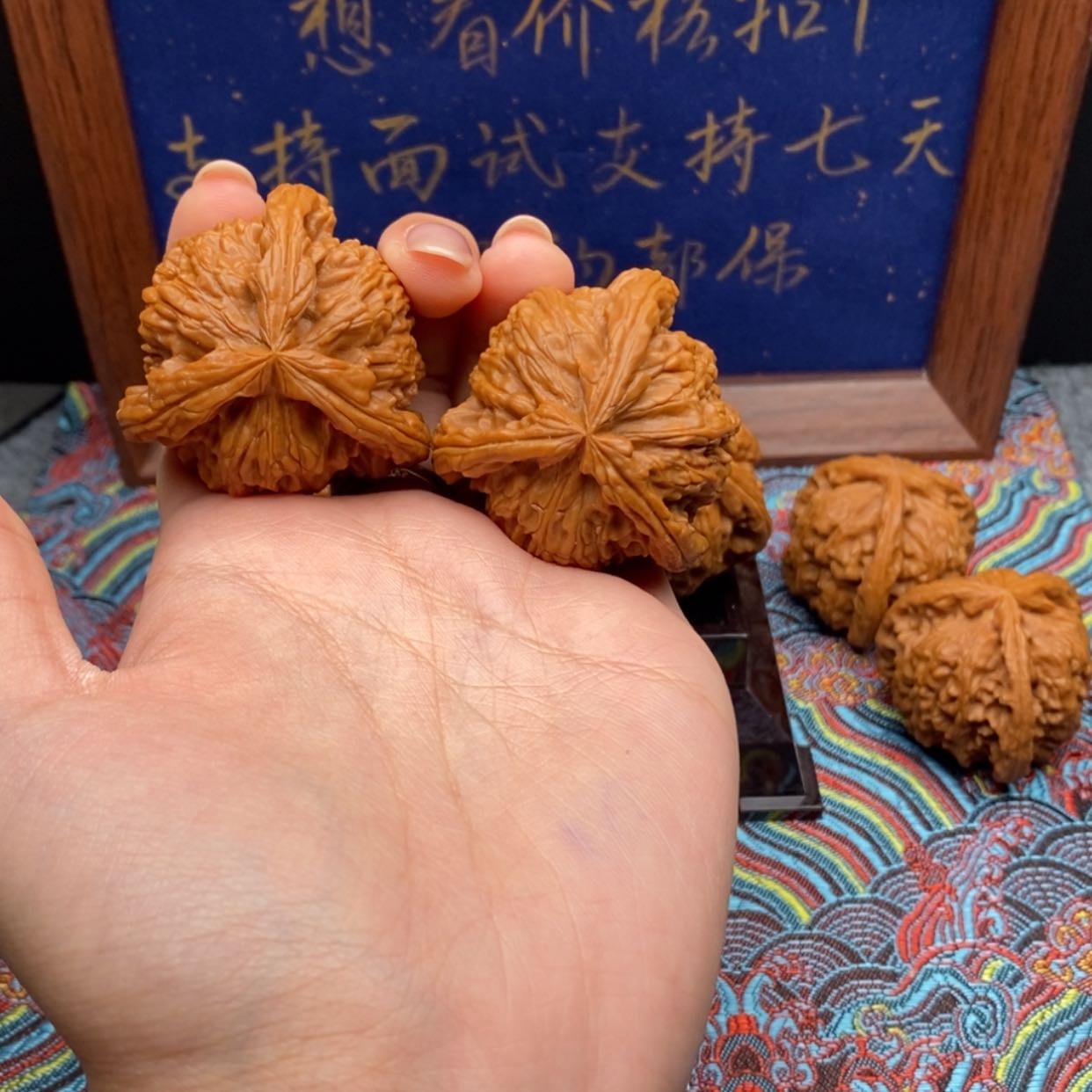 【闪购商品】路*。白狮