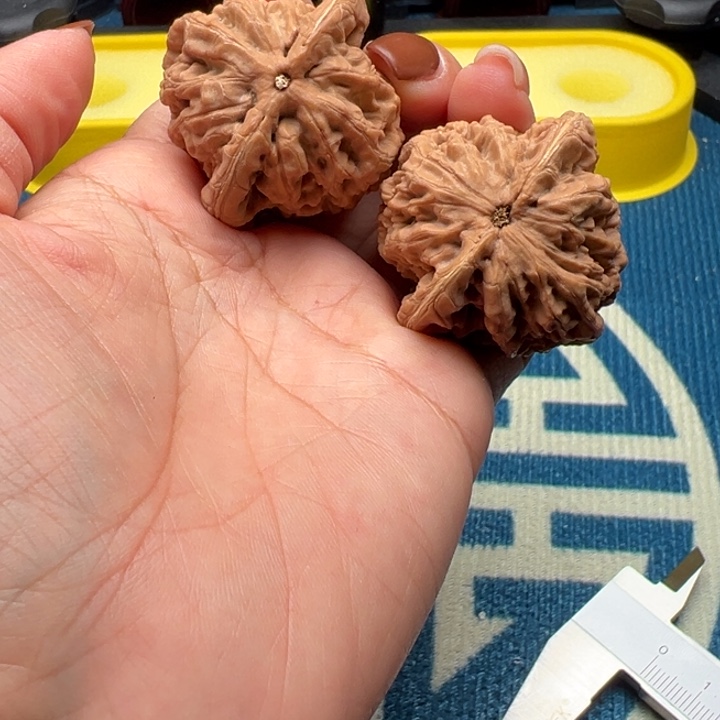 桃核吊坠文玩核桃金公子