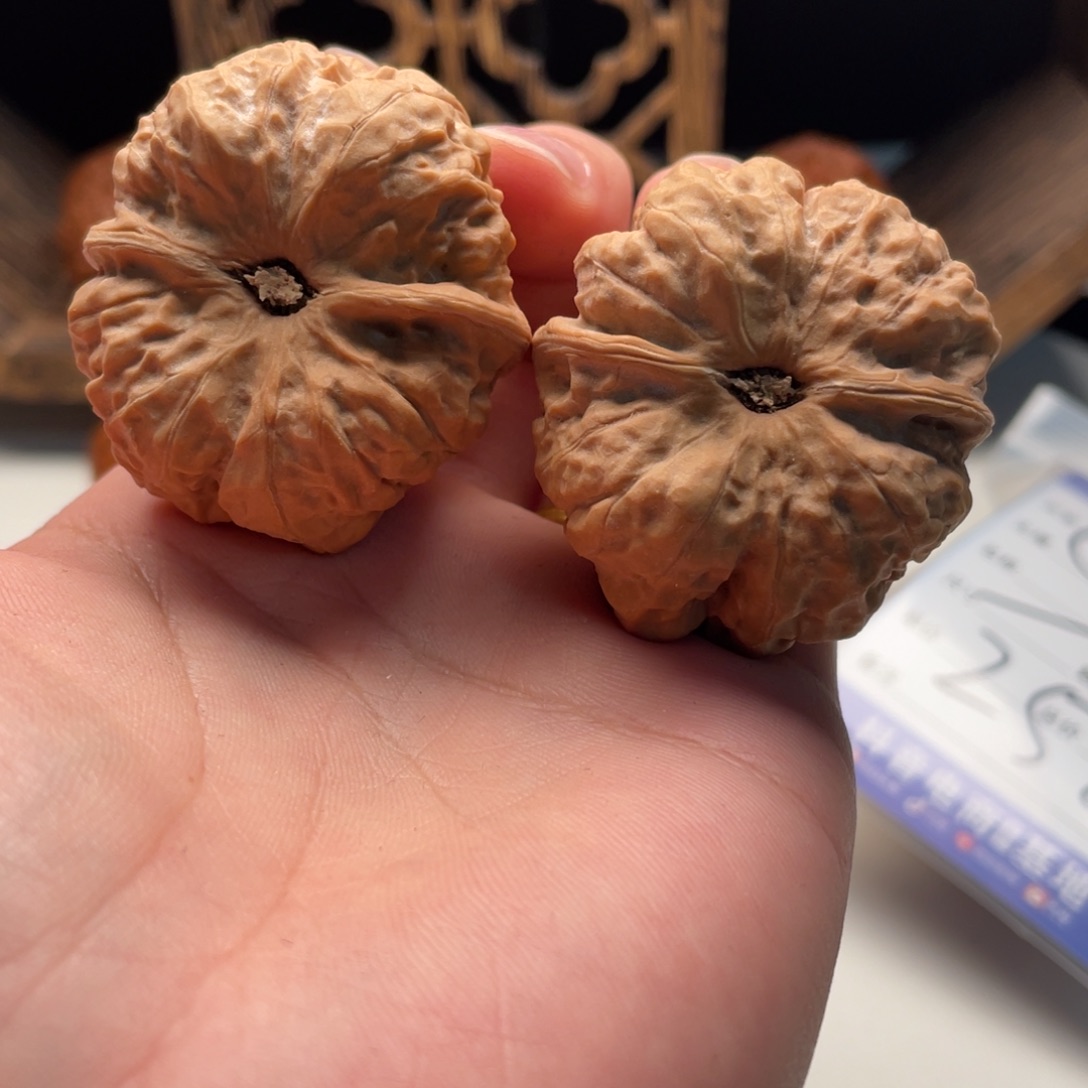 白***虾大叶紫檀（黑酸枝木类）蛤蟆头文玩C08