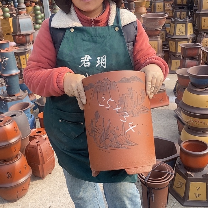 紫砂花盆盆栽花卉苗木种植