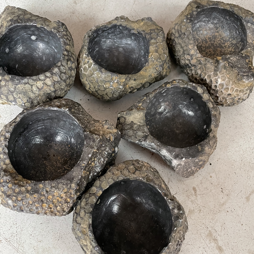 家用办公烟缸随机发货