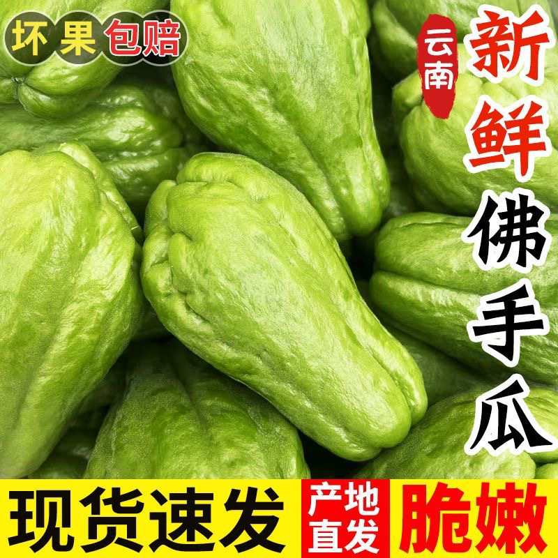 贵州高山新鲜佛手瓜应季蔬菜可炖汤炒菜嫩捧瓜洋瓜现摘应季瓜