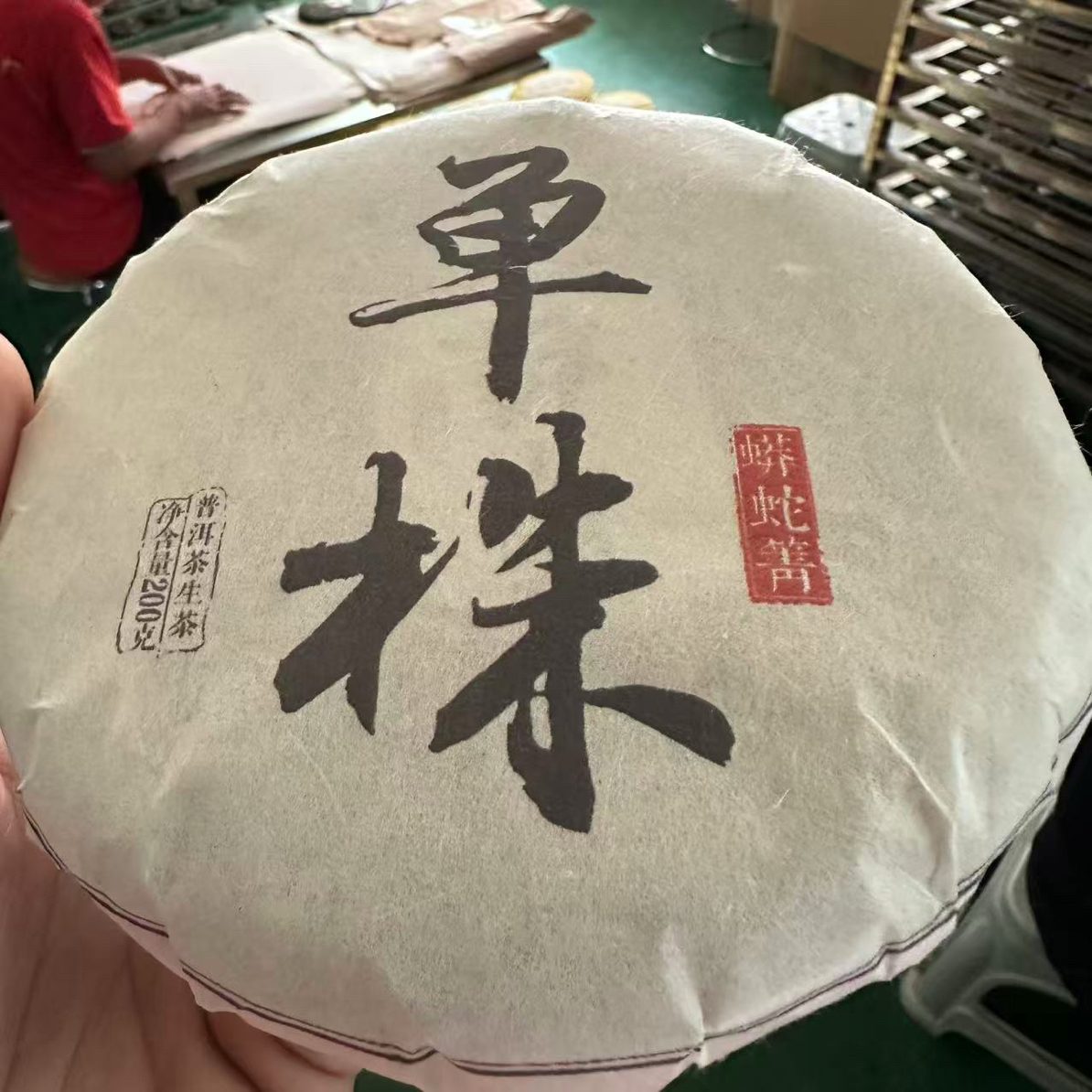 2025年蟒蛇箐头春单株200克饼茶
