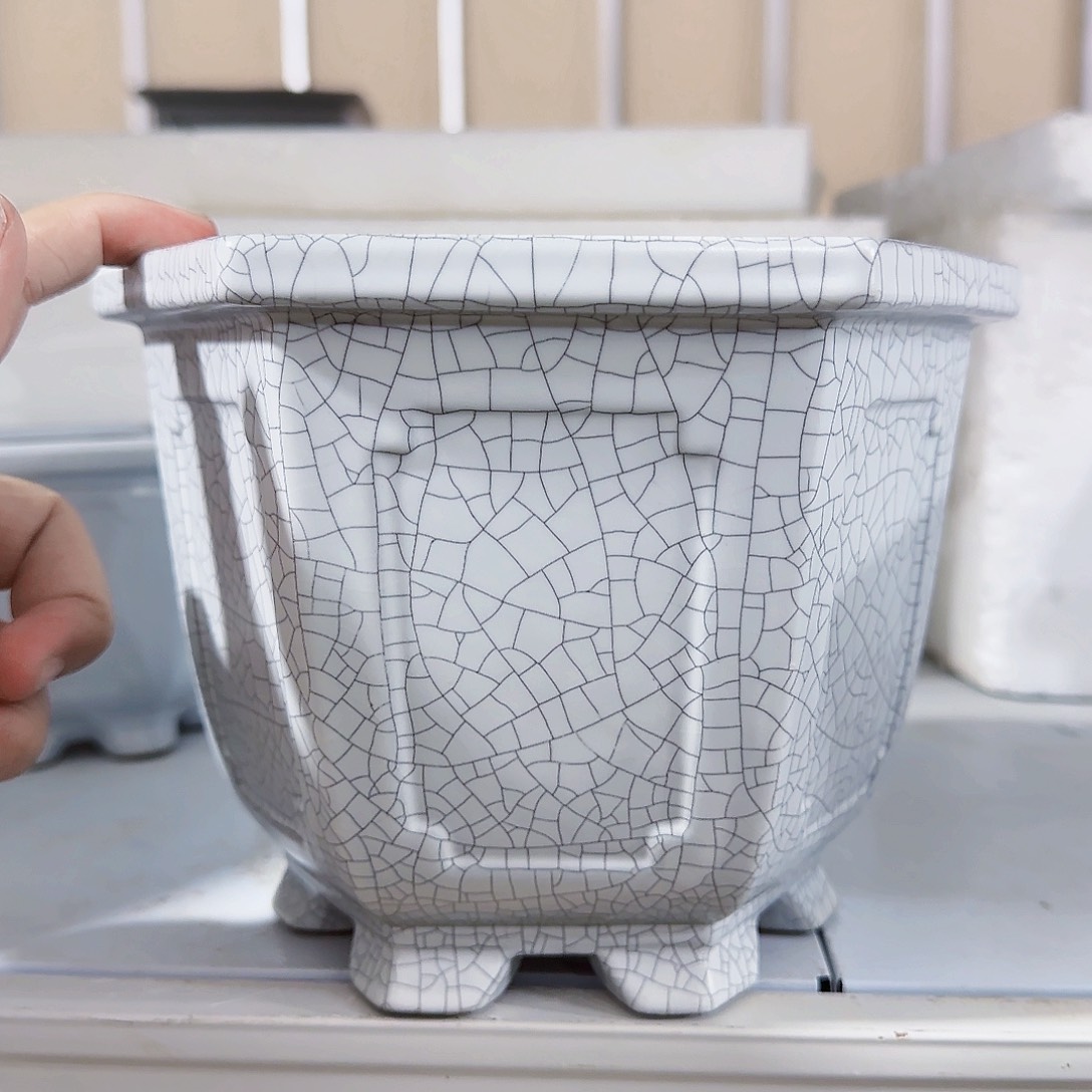 陶瓷花盆特价上新