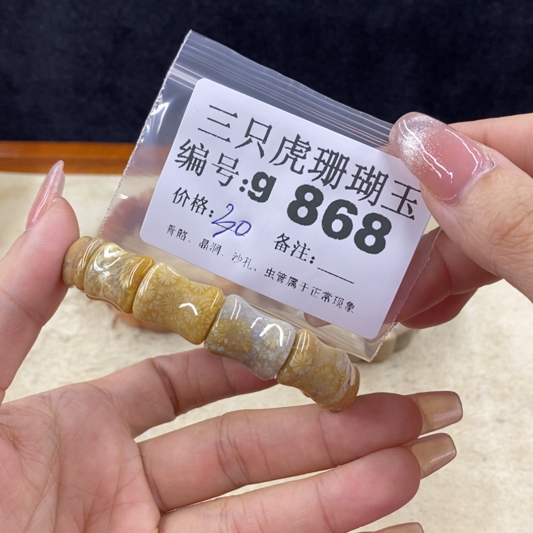 硅化珊瑚（珊瑚玉）未镶嵌1小*